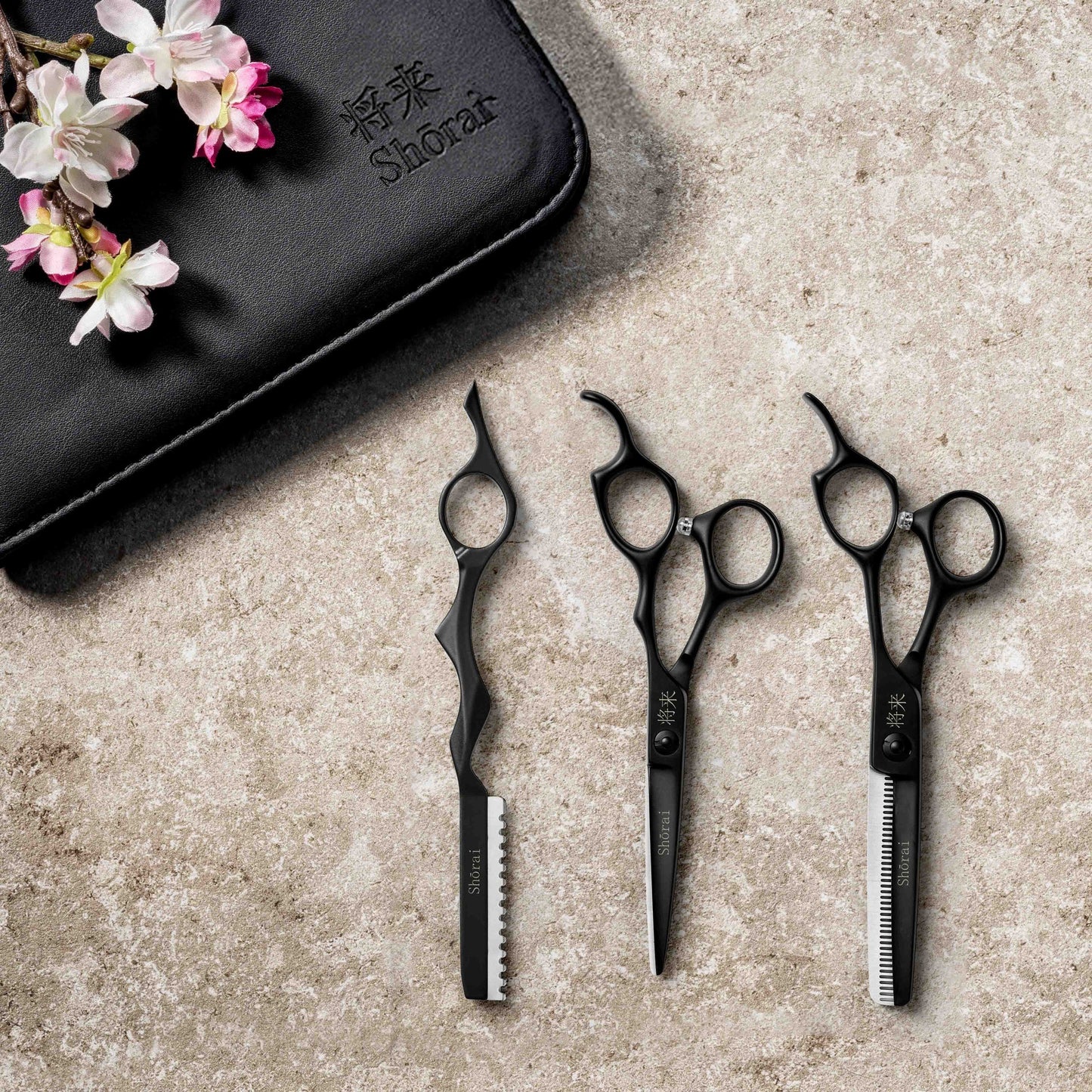 Shorai Starting Set - Matt Black