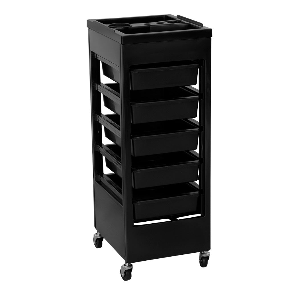 [RZMT003] HOAR HOAR - HAIRDRESSING TROLLEY