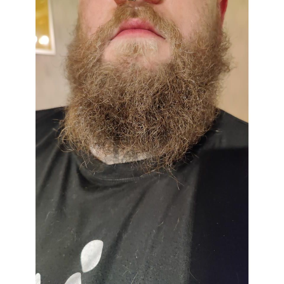 Mr Bear Family Natural Citrus Beard Wash - Soothing, Moisturizing, Fresh Scent 8.45 fl oz